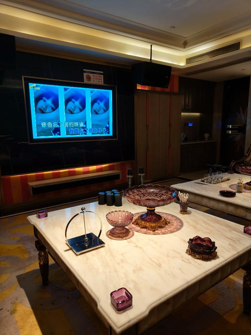 汕尾商务ktv价格多少钱一个小时-陆丰市ktv预订